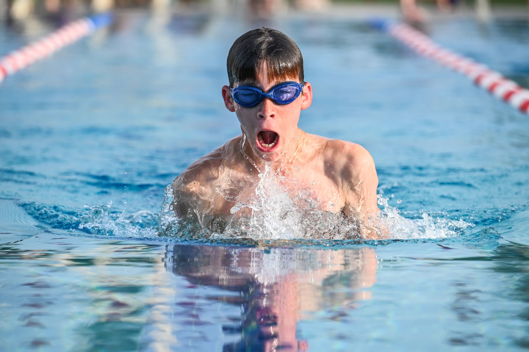 FC Swim 12